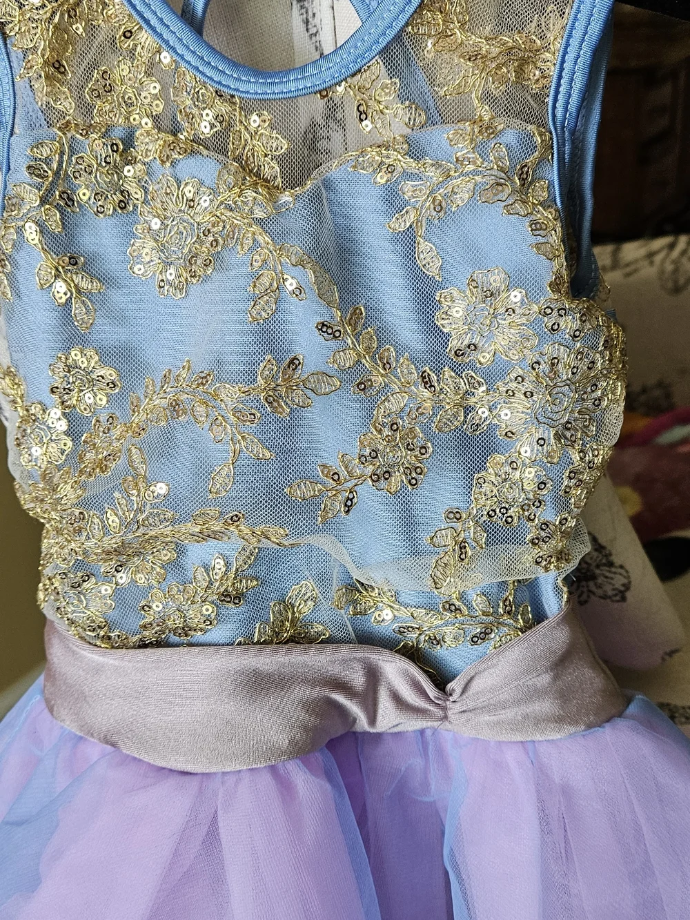 Blue & Pink Gold-Trim Tulle Dance Costume 
